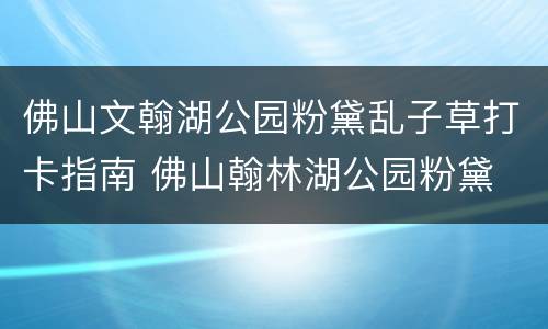 佛山文翰湖公园粉黛乱子草打卡指南 佛山翰林湖公园粉黛
