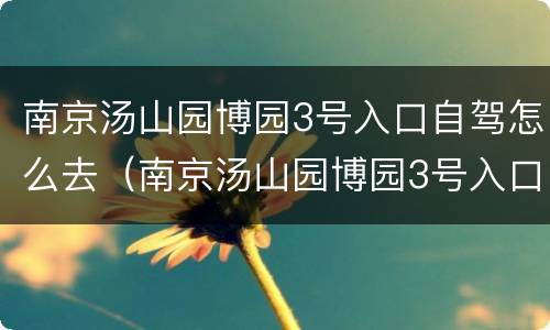南京汤山园博园3号入口自驾怎么去（南京汤山园博园3号入口自驾怎么去地铁）