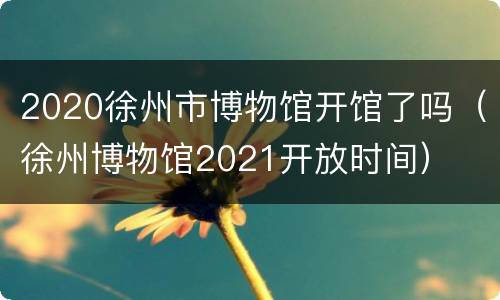 2020徐州市博物馆开馆了吗（徐州博物馆2021开放时间）
