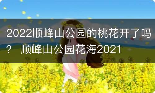 2022顺峰山公园的桃花开了吗？ 顺峰山公园花海2021