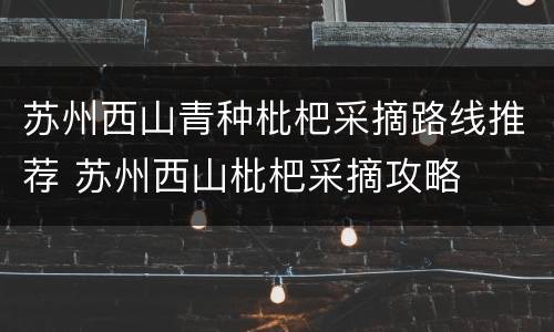 苏州西山青种枇杷采摘路线推荐 苏州西山枇杷采摘攻略