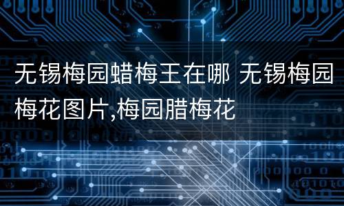 无锡梅园蜡梅王在哪 无锡梅园梅花图片,梅园腊梅花