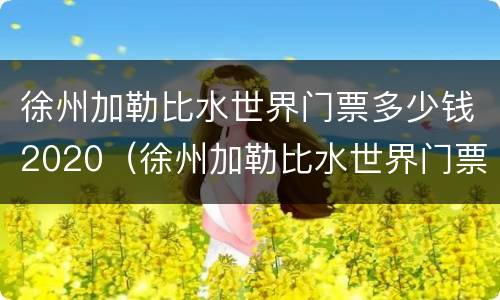 徐州加勒比水世界门票多少钱2020（徐州加勒比水世界门票多少钱一张票）