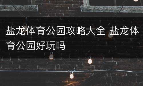盐龙体育公园攻略大全 盐龙体育公园好玩吗