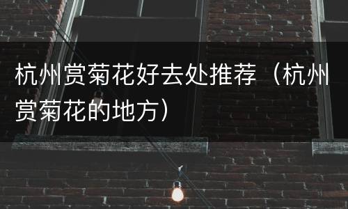 杭州赏菊花好去处推荐（杭州赏菊花的地方）