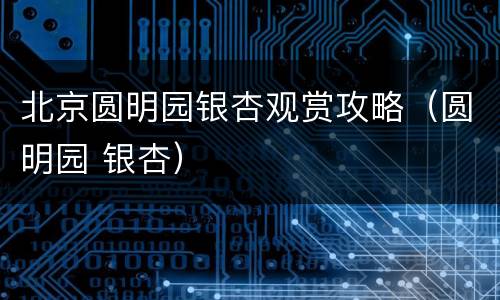 北京圆明园银杏观赏攻略（圆明园 银杏）