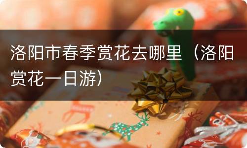 洛阳市春季赏花去哪里（洛阳赏花一日游）