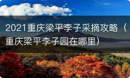 2021重庆梁平李子采摘攻略（重庆梁平李子园在哪里）