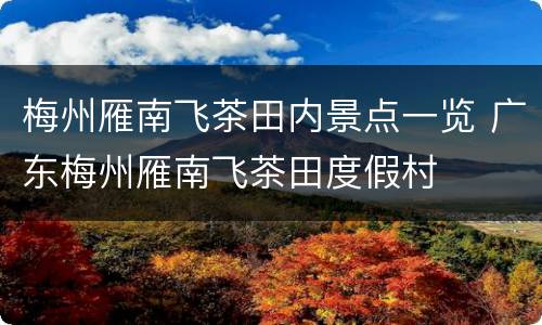 梅州雁南飞茶田内景点一览 广东梅州雁南飞茶田度假村