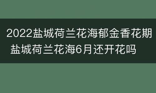 2022盐城荷兰花海郁金香花期 盐城荷兰花海6月还开花吗