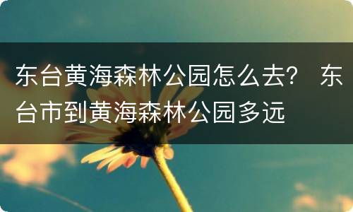 东台黄海森林公园怎么去？ 东台市到黄海森林公园多远
