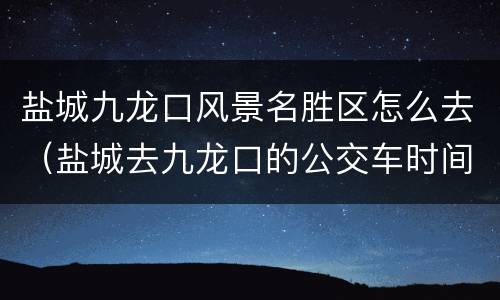 盐城九龙口风景名胜区怎么去（盐城去九龙口的公交车时间）