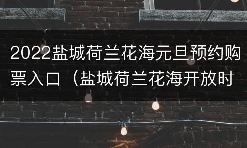 2022盐城荷兰花海元旦预约购票入口（盐城荷兰花海开放时间）