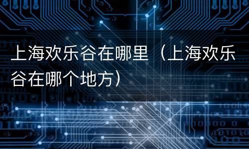 上海欢乐谷在哪里（上海欢乐谷在哪个地方）
