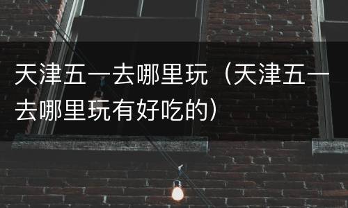 天津五一去哪里玩（天津五一去哪里玩有好吃的）