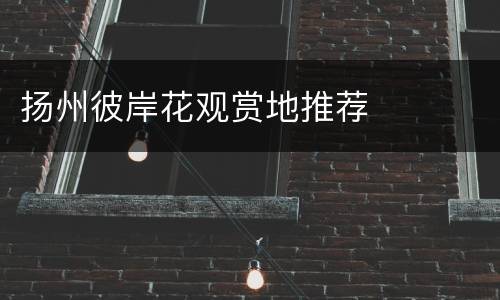 扬州彼岸花观赏地推荐
