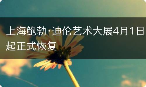上海鲍勃·迪伦艺术大展4月1日起正式恢复