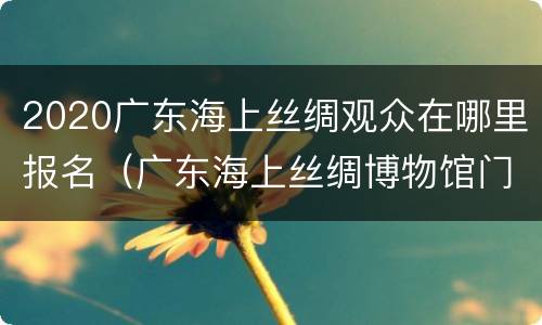 2020广东海上丝绸观众在哪里报名（广东海上丝绸博物馆门票）