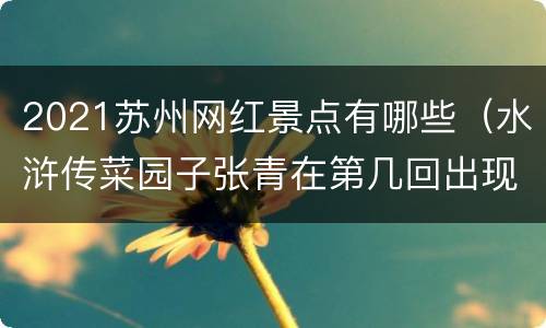2021苏州网红景点有哪些（水浒传菜园子张青在第几回出现）