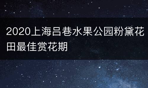 2020上海吕巷水果公园粉黛花田最佳赏花期