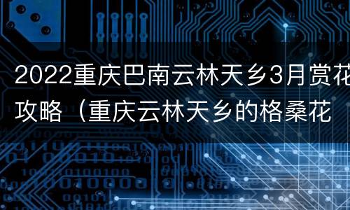 2022重庆巴南云林天乡3月赏花攻略（重庆云林天乡的格桑花几月看）