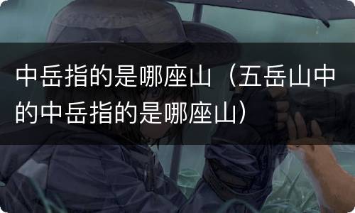 中岳指的是哪座山（五岳山中的中岳指的是哪座山）