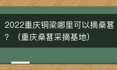 2022重庆铜梁哪里可以摘桑葚？（重庆桑葚采摘基地）