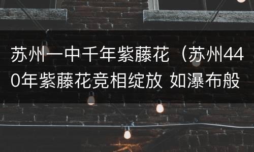 苏州一中千年紫藤花（苏州440年紫藤花竞相绽放 如瀑布般倾泻而下画 面绝美）