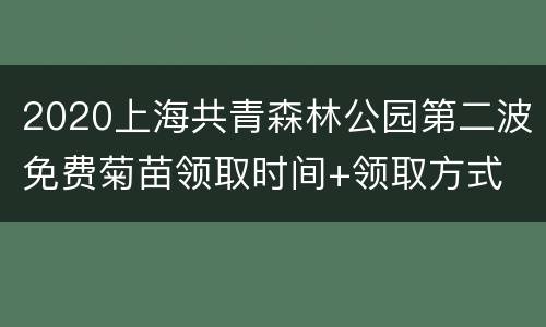 2020上海共青森林公园第二波免费菊苗领取时间+领取方式