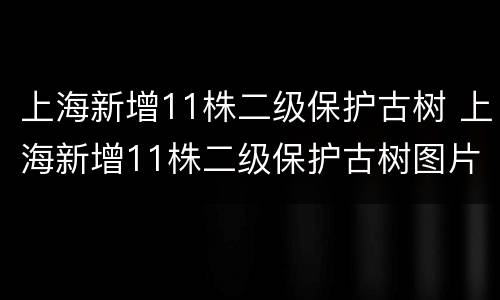 上海新增11株二级保护古树 上海新增11株二级保护古树图片