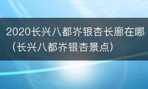 2020长兴八都岕银杏长廊在哪（长兴八都岕银杏景点）