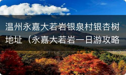 温州永嘉大若岩银泉村银杏树地址（永嘉大若岩一日游攻略）
