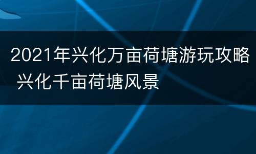 2021年兴化万亩荷塘游玩攻略 兴化千亩荷塘风景