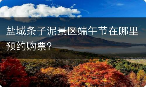 盐城条子泥景区端午节在哪里预约购票？