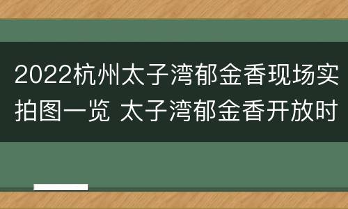 2022杭州太子湾郁金香现场实拍图一览 太子湾郁金香开放时间