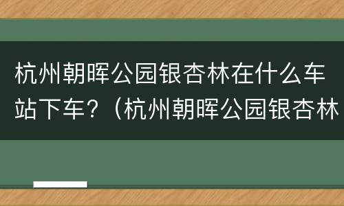 杭州朝晖公园银杏林在什么车站下车?（杭州朝晖公园银杏林坐几路车?）