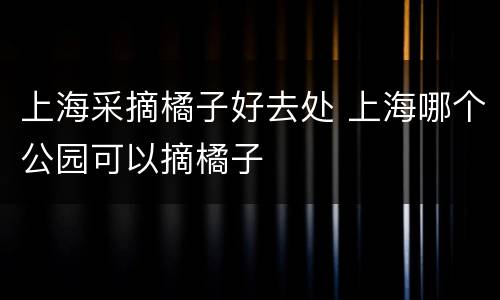上海采摘橘子好去处 上海哪个公园可以摘橘子