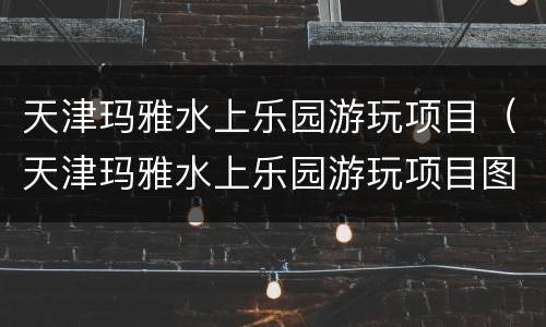 天津玛雅水上乐园游玩项目（天津玛雅水上乐园游玩项目图片）