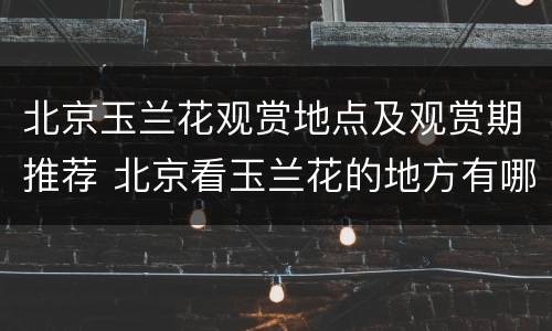 北京玉兰花观赏地点及观赏期推荐 北京看玉兰花的地方有哪些