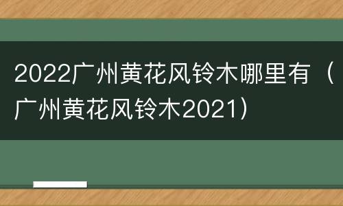 2022广州黄花风铃木哪里有（广州黄花风铃木2021）