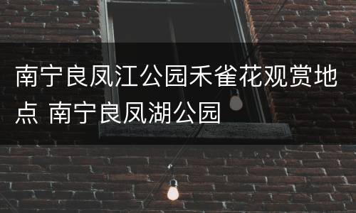 南宁良凤江公园禾雀花观赏地点 南宁良凤湖公园