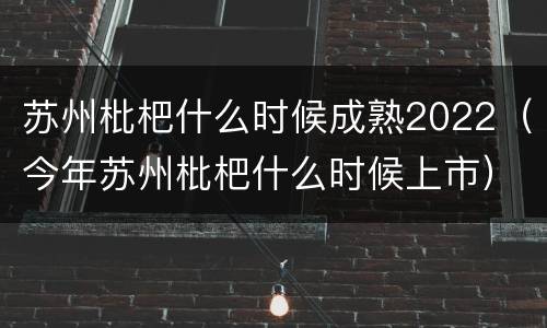 苏州枇杷什么时候成熟2022（今年苏州枇杷什么时候上市）