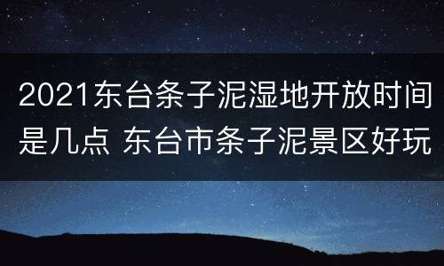 2021东台条子泥湿地开放时间是几点 东台市条子泥景区好玩吗