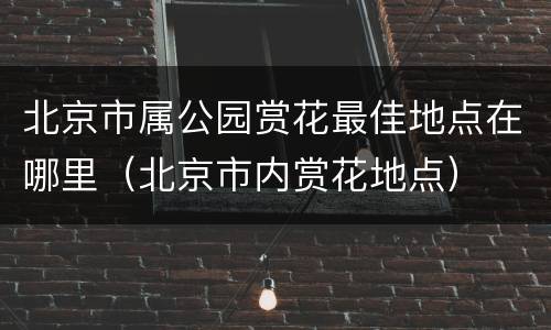 北京市属公园赏花最佳地点在哪里（北京市内赏花地点）