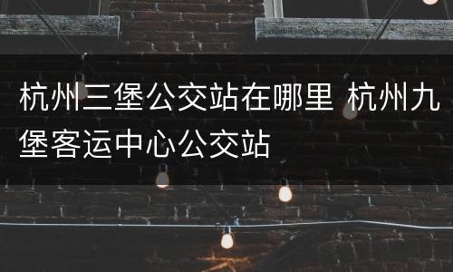 杭州三堡公交站在哪里 杭州九堡客运中心公交站