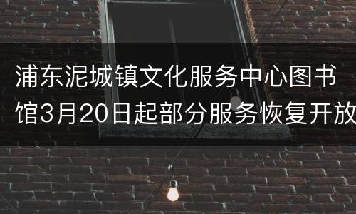 浦东泥城镇文化服务中心图书馆3月20日起部分服务恢复开放通知
