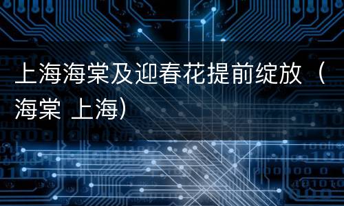 上海海棠及迎春花提前绽放（海棠 上海）
