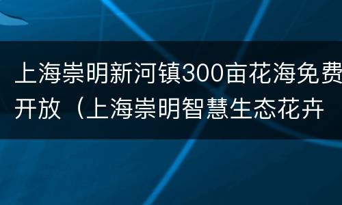 上海崇明新河镇300亩花海免费开放（上海崇明智慧生态花卉园门票）
