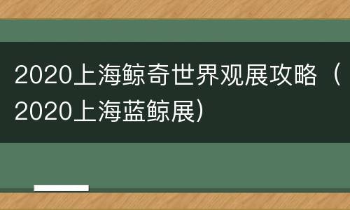 2020上海鲸奇世界观展攻略（2020上海蓝鲸展）