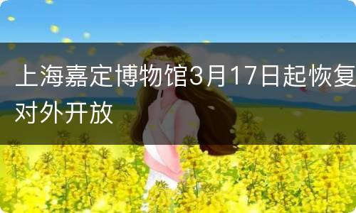 上海嘉定博物馆3月17日起恢复对外开放